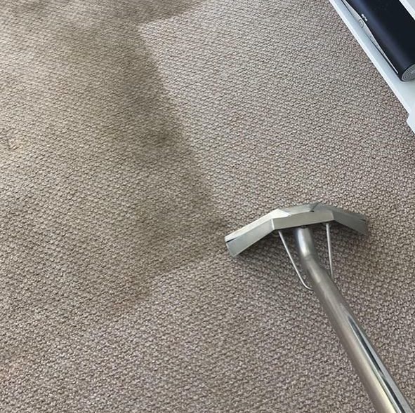 Professional carpet cleaning in Hertfordshire
