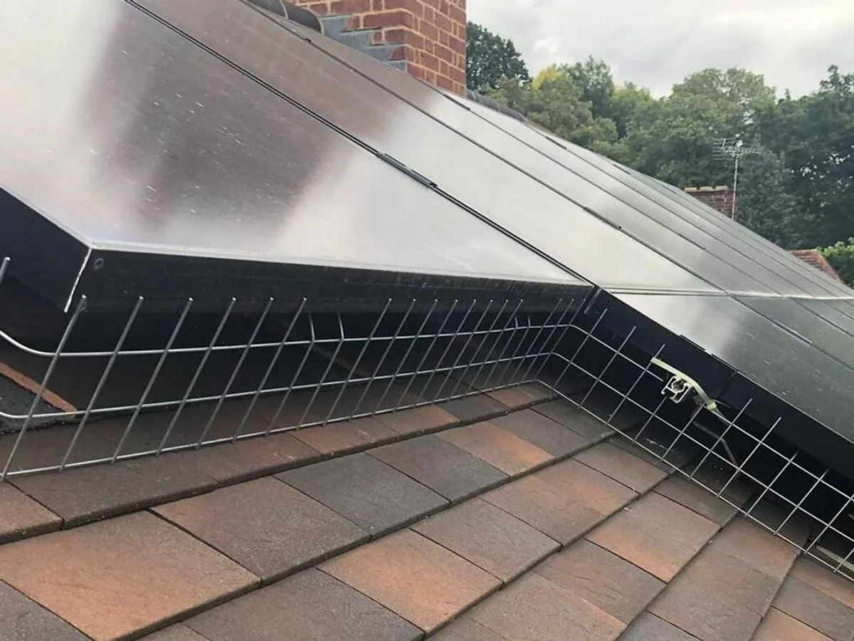 Bird-proofing mesh fitted around the edge of solar panels